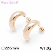 1 Pair Modern Style Simple Style Solid Color Plating Stainless Steel 18K Gold Plated Earrings sku image 62