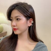 1 Pair Simple Style Flower Plating Alloy Silver Plated Drop Earrings main image 3