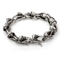 Hip-hop Punk Snake Skull Titanium Steel Men's Bracelets main image 1