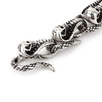 Hip-hop Punk Snake Skull Titanium Steel Men's Bracelets main image 3