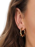 1 Piece Simple Style Classic Style Solid Color 304 Stainless Steel 14K Gold Plated Hoop Earrings main image 3