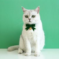 Elegant Polyester Christmas Solid Color Bow Knot Pet Accessories main image 1