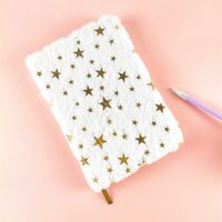 1 Piece Star Class Learning Bronzing Plush Cute Notebook sku image 3