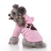 Casual Polyester Lion Pet Clothing main image 1