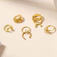 Simple Style Classic Style Rabbit Floral Alloy Hollow Out Women's Rings main image 6