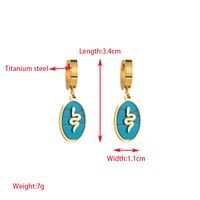 1 Pair Elegant Lady Round Oval Heart Shape Inlay 316 Stainless Steel  Rhinestones 14K Gold Plated Drop Earrings sku image 3