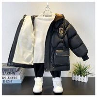 Casual Basic Simple Style Animal Solid Color Pocket Polyester Boys Outerwear main image 4