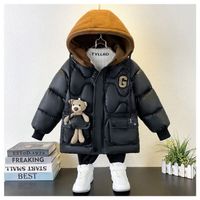 Casual Basic Simple Style Animal Solid Color Pocket Polyester Boys Outerwear main image 5