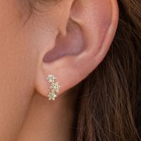 1 Pair Elegant Simple Style Solid Color Plating Inlay Sterling Silver Zircon Ear Studs main image 2