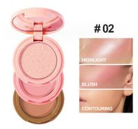 Elegant Solid Color Plastic Blusher sku image 2