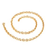 Titanium Steel 18K Gold Plated Simple Style Chain Solid Color Necklace main image 5