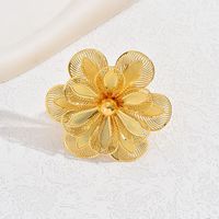 Glam Simple Style Flower Iron Hollow Out Women's Open Rings sku image 2