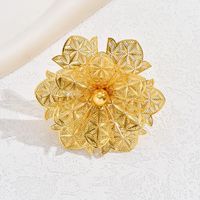 Glam Simple Style Flower Iron Hollow Out Women's Open Rings sku image 3