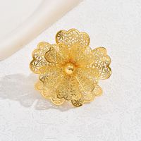 Glam Simple Style Flower Iron Hollow Out Women's Open Rings sku image 4