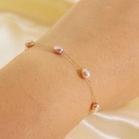 304 Stainless Steel Freshwater Pearl 14K Gold Plated Elegant Simple Style Classic Style Geometric Freshwater Pearl Bracelets Anklet Necklace main image 5