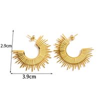 1 Pair Simple Style Irregular Solid Color Plating Stainless Steel 18k Gold Plated Hoop Earrings main image 2