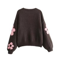 Women's Sweater Long Sleeve Sweaters & Cardigans Casual Flower main image 2