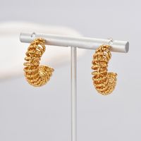 1 Pair Simple Style Classic Style Solid Color Plating Titanium Steel 18k Gold Plated Gold Plated Hoop Earrings main image 9