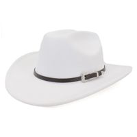Unisex Basic Cowboy Style Solid Color Big Eaves Fedora Hat sku image 4