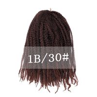 Women's African Style Party Street High Temperature Wire Long Curly Hair Wig Net sku image 3