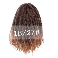 Frau Afrikanischer Stil Gruppe Straße Hochtemperaturdraht Langes Lockiges Haar Perückennetz sku image 2