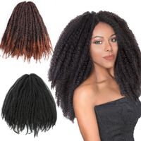 Frau Afrikanischer Stil Gruppe Straße Hochtemperaturdraht Langes Lockiges Haar Perückennetz main image 2