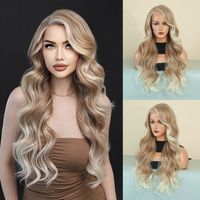 Women's Sweet Party Street High Temperature Wire Long Curly Hair Wig Net sku image 1