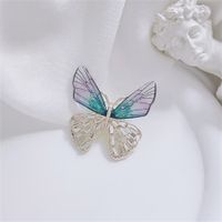 Elegant Butterfly Arylic Alloy Rhinestones Women's Brooches main image 8