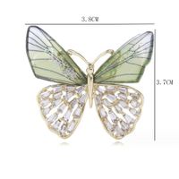 Elegant Butterfly Arylic Alloy Rhinestones Women's Brooches main image 3