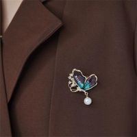 Vintage Style Butterfly Alloy Plating Inlay Acrylic Rhinestones Women's Brooches main image 2