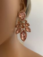 1 Pair Retro Luxurious Leaves Plating Inlay Alloy Rhinestones Silver Plated Drop Earrings main image 6