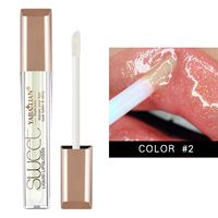 Casual Solid Color Plastic Lip Gloss sku image 2