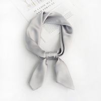 Women's Elegant Solid Color Satin Silk Scarf sku image 9