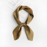 Women's Elegant Solid Color Satin Silk Scarf sku image 7