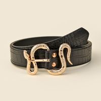 Elegant Streetwear Solid Color Snake Pu Leather Alloy Women's Leather Belts sku image 1