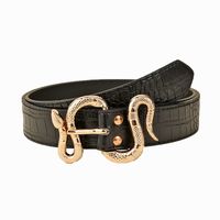 Elegant Streetwear Solid Color Snake Pu Leather Alloy Women's Leather Belts main image 3