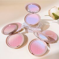 Casual Solid Color Plastic Blusher main image 1