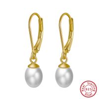 1 Pair Baroque Style French Style Geometric Color Block Irregular Polishing Plating Freshwater Pearl 14k Gold Plated White Gold Plated Silver Plated Drop Earrings main image 4