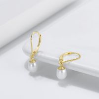 1 Pair Baroque Style French Style Geometric Color Block Irregular Polishing Plating Freshwater Pearl 14k Gold Plated White Gold Plated Silver Plated Drop Earrings main image 1