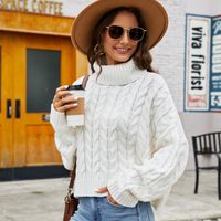 Women's Sweater Long Sleeve Sweaters & Cardigans Casual Simple Style Solid Color sku image 3