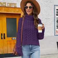 Women's Sweater Long Sleeve Sweaters & Cardigans Casual Simple Style Solid Color sku image 10