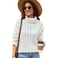 Women's Sweater Long Sleeve Sweaters & Cardigans Casual Simple Style Solid Color main image 4