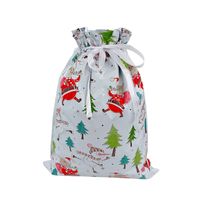 Christmas Cartoon Style Cute Santa Claus Plastic Family Gathering Party Festival Gift Bags sku image 18