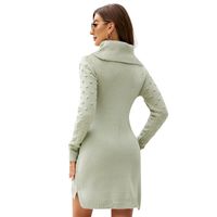 Women's Sweater Dress Simple Style Turtleneck Long Sleeve Solid Color Above Knee Daily main image 2