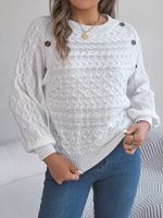 Women's Sweater Long Sleeve Sweaters & Cardigans Button Streetwear Solid Color main image 2
