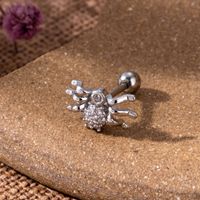 1 Piece Ear Cartilage Rings & Studs Vintage Style Spider Spider Web 316 Stainless Steel  Copper Plating Inlay Zircon sku image 3