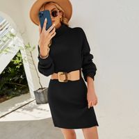 Frau Pullover Kleid Einfacher Stil Rollkragen Lange Ärmel Einfarbig Über Dem Knie Täglich sku image 10