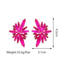 1 Pair Glam Geometric Wings Plating Inlay Alloy Zinc Alloy Glass Ear Studs main image 2