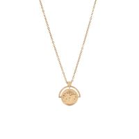 Simple Style Human Face Map Cat Stainless Steel Copper 18k Gold Plated Zircon Pendant Necklace In Bulk main image 4