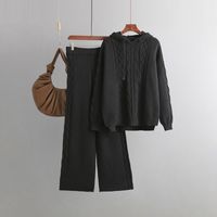 Daily Women's Casual Simple Style Solid Color Angola Polyacrylonitrile Fiber Pants Sets Pants Sets sku image 1